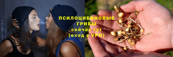 дживик Абаза
