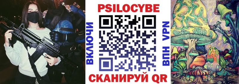 Галлюциногенные грибы Psilocybe  Алдан 